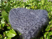 000_0240.jpg