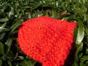 000_0241.jpg