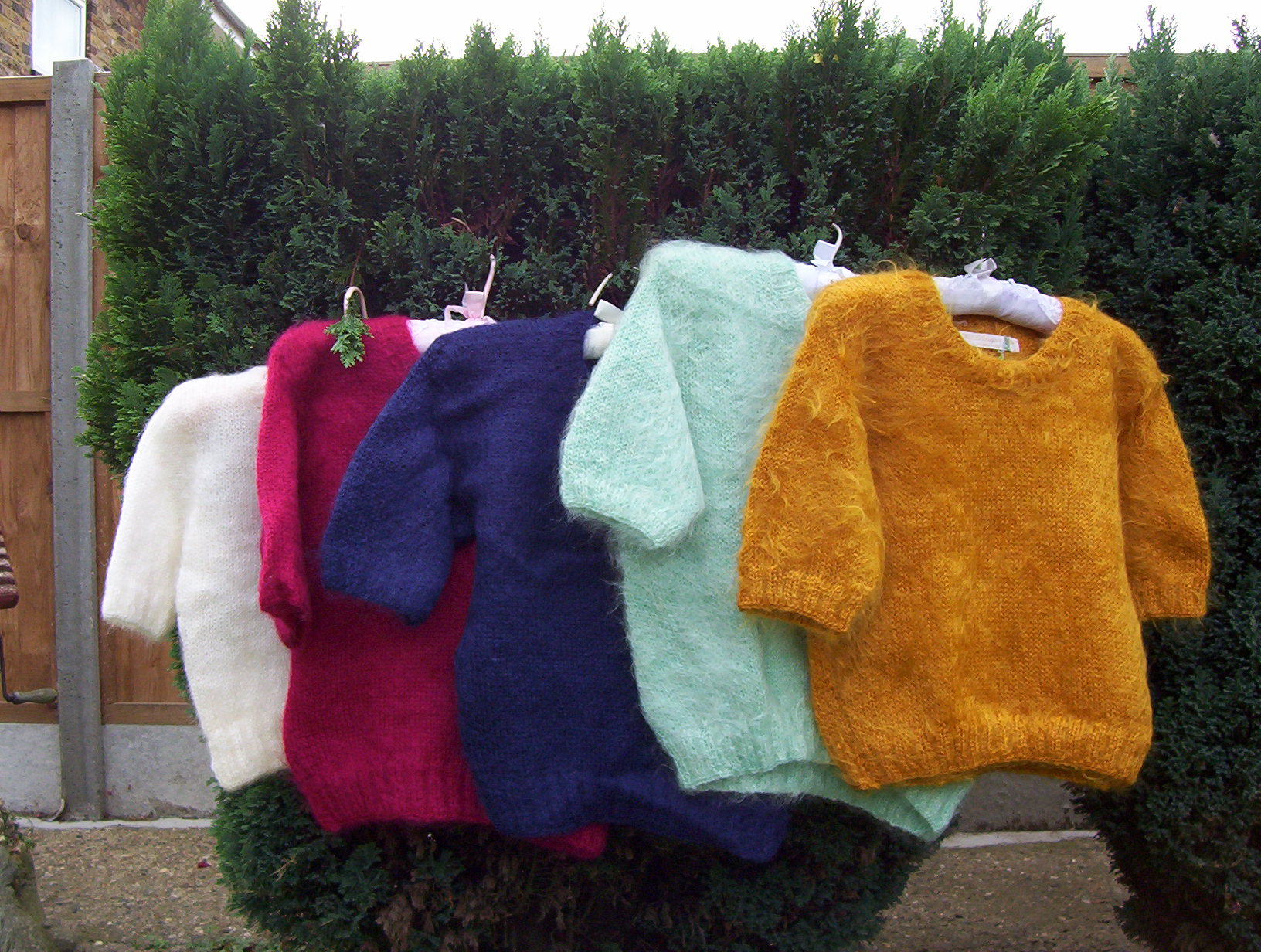 000_0039.jpg
